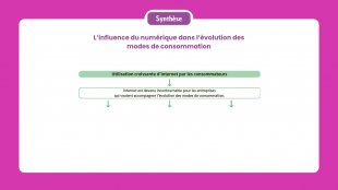 Synthèse vidéo du chapitre 11
