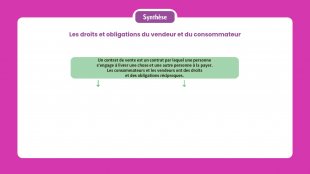 Synthèse vidéo du chapitre 12
