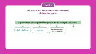 Synthèse vidéo du chapitre 17