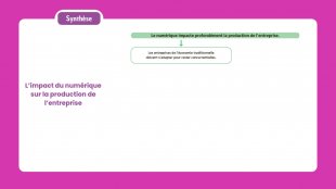 Synthèse vidéo du chapitre 19