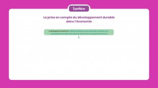 Synthèse vidéo du chapitre 22