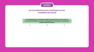 Synthèse vidéo du chapitre 25