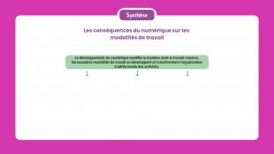 Synthèse vidéo du chapitre 12