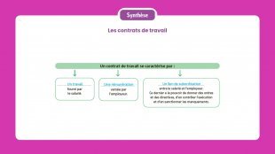 Synthèse vidéo du chapitre 13