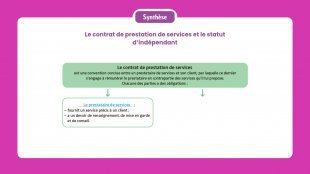 Synthèse vidéo du chapitre 14