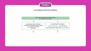 Synthèse vidéo du chapitre 15